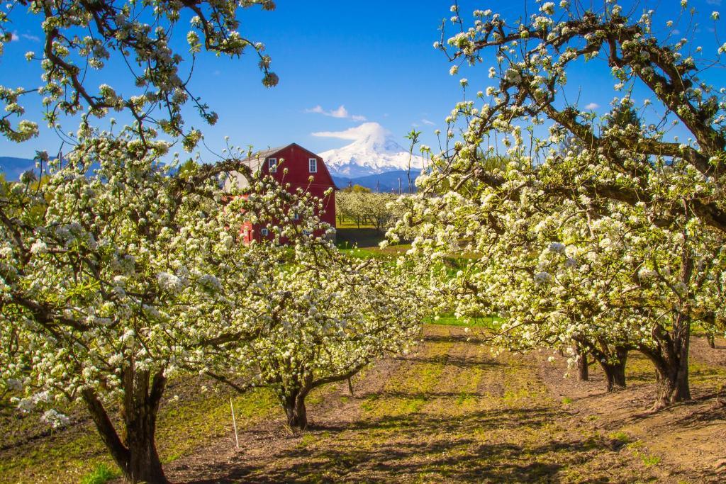 Columbia Cliff Villas Hood River Εξωτερικό φωτογραφία